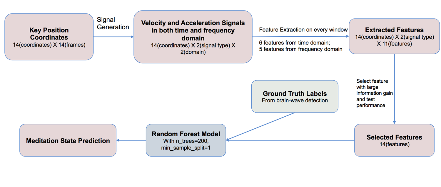 Architecture of the machine learning model. Starting with the 14 key position coordinates, ultimately 14 features with the highest information gain were chosen to be included in the Random Forest model.